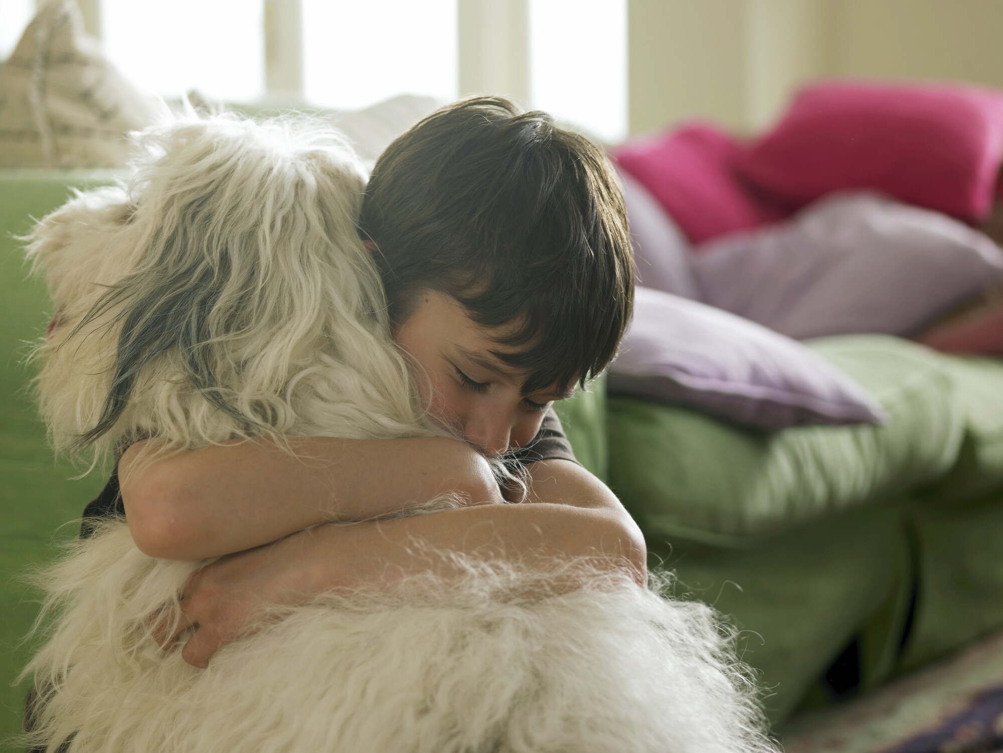 Consulenza per onoranze funebri animali